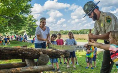 Standing Stone State Park Goes Green