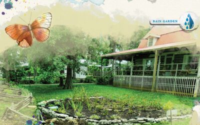 Take Charge of Your Water with a Rain Garden